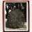 tanguy-muller-