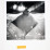 tanguy-muller-