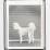 tanguy-muller-