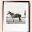 tanguy-muller-