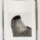 tanguy-muller-