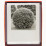 tanguy-muller-