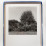 tanguy-muller-