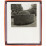 tanguy-muller-