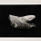 tanguy-muller-